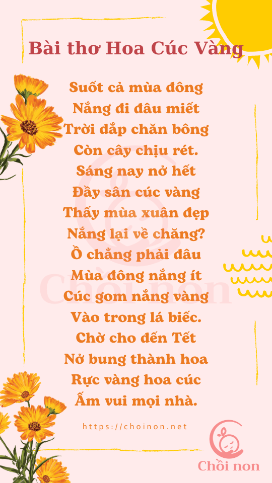 Bài thơ Hoa Cúc Vàng - Nguyễn Văn Chương, bai tho hoa cuc vang