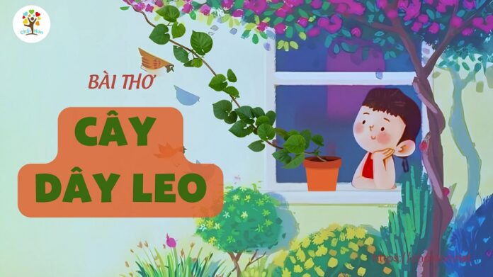 bai tho cay day leo, bài thơ cây dây leo